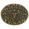 AndWest "Y'all Can Go To Hell, I'm Going To Texas" Buckle